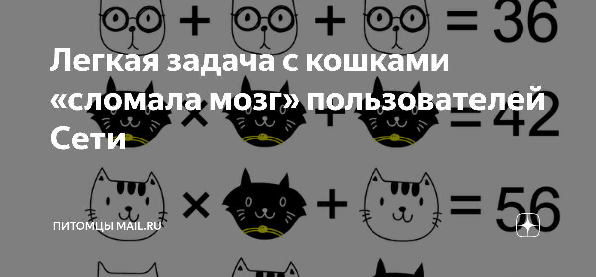 Легкая задача с кошками «сломала мозг» пользователей Сети | Питомцы ...