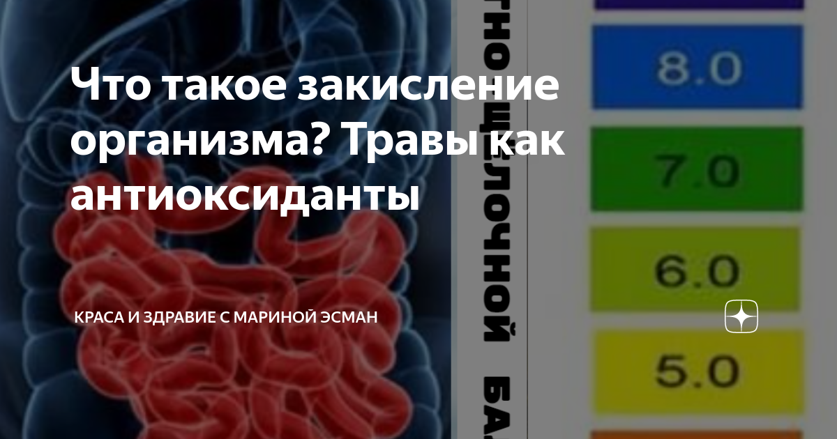 Растения индикаторы кислотности почвы щелочной. Водка "кизлярка" абрикосовая. Что такое кислярка. Что такое кислярка. Кислоты определение химия 8 класс.
