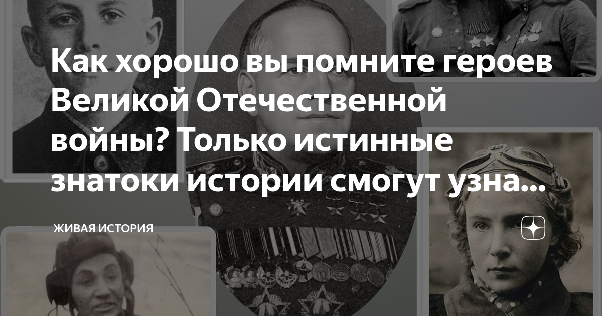 Подлинный знаток. Звезда героя Великой Отечественной войны. Фото героя ВОВ по фамилии. Давайте вспомним героев ВОВ. День Победы фото картинки.