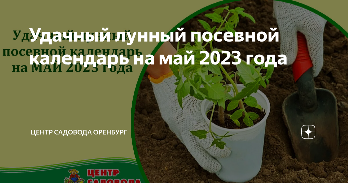 Лунно посевной календарь подмосковье 2023