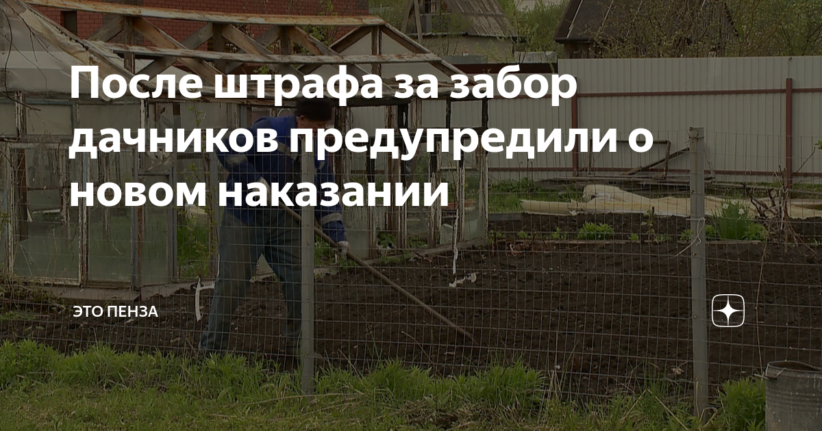 После штрафа за забор дачников предупредили о новом наказании | ЭТО ...