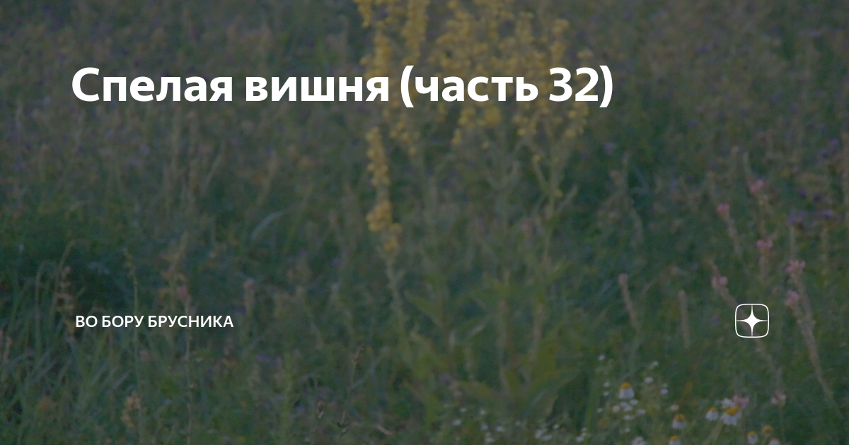 Спелая вишня (часть 32) | Брусникины рассказы | Дзен