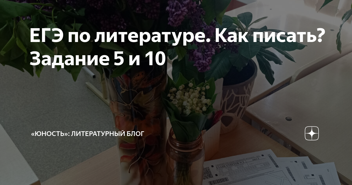 как подготовиться к егэ по литературе за 1 день