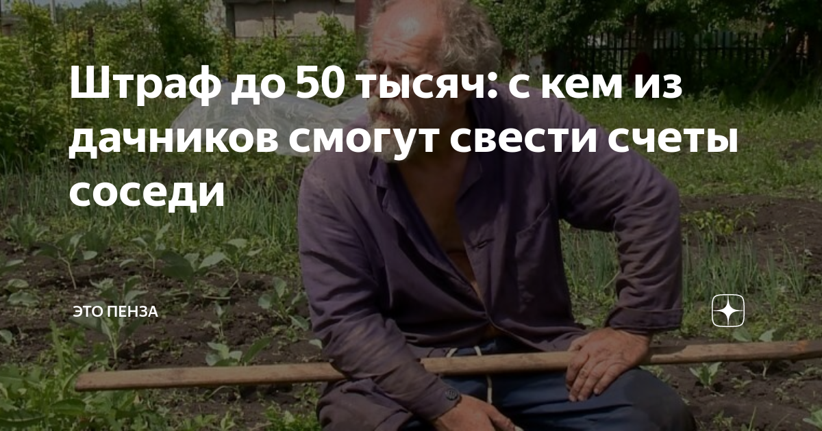 Штраф до 50 тысяч: с кем из дачников смогут свести счеты соседи | ЭТО ...
