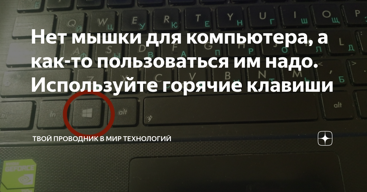 Нет мышки для компьютера, а как-то пользоваться им надо. Используйте ...