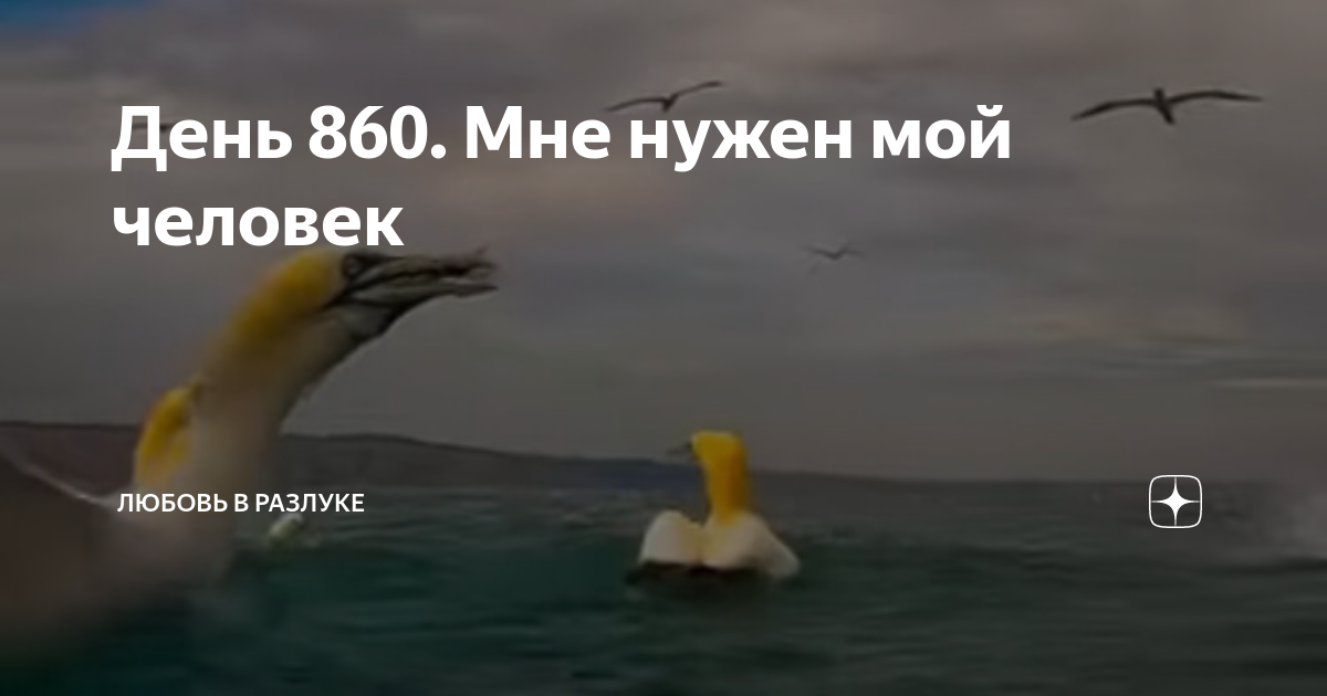 История любви и расставаний дзен. Расставание. Печальная история любви. Влюбленные арт. Интересные картинки со смыслом.