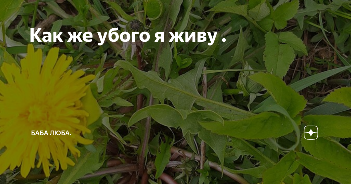 Как же убого я живу . | Баба Люба. | Дзен