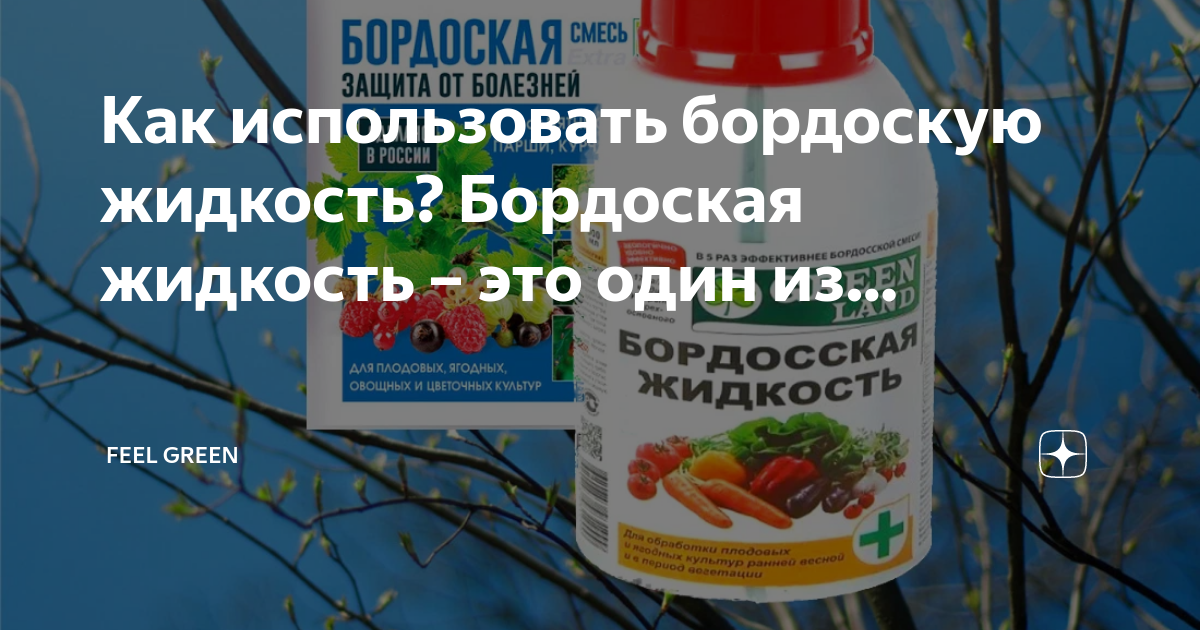 При какой температуре можно опрыскивать бордосской жидкостью. Бордосская жидкость. Обработка бордосской жидкостью весной. Бордоская жидкость как пользоваться. Бордоская смесь изготовление и применение весной.