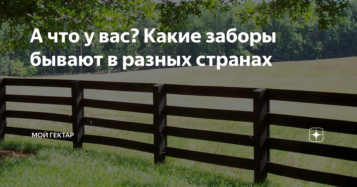 А что у вас? Какие заборы бывают в разных странах | Мой гектар | Дзен