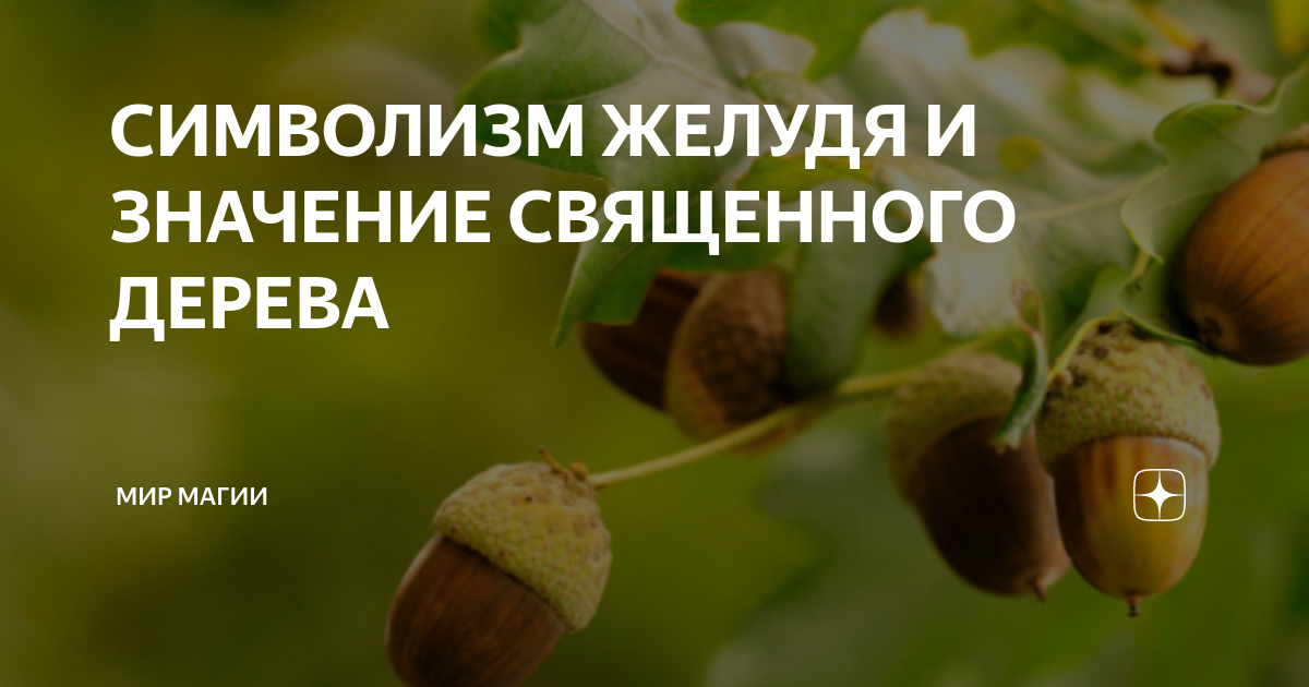 Год дерева значение. Год дерева значение