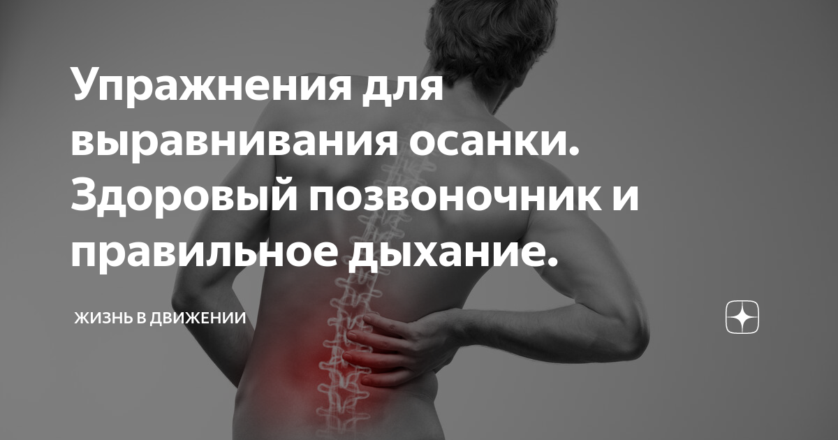 Как должна выглядеть здоровая спина Упражнения для выравнивания осанки. Здоровый позвоночник и правильное дыхание. Ж