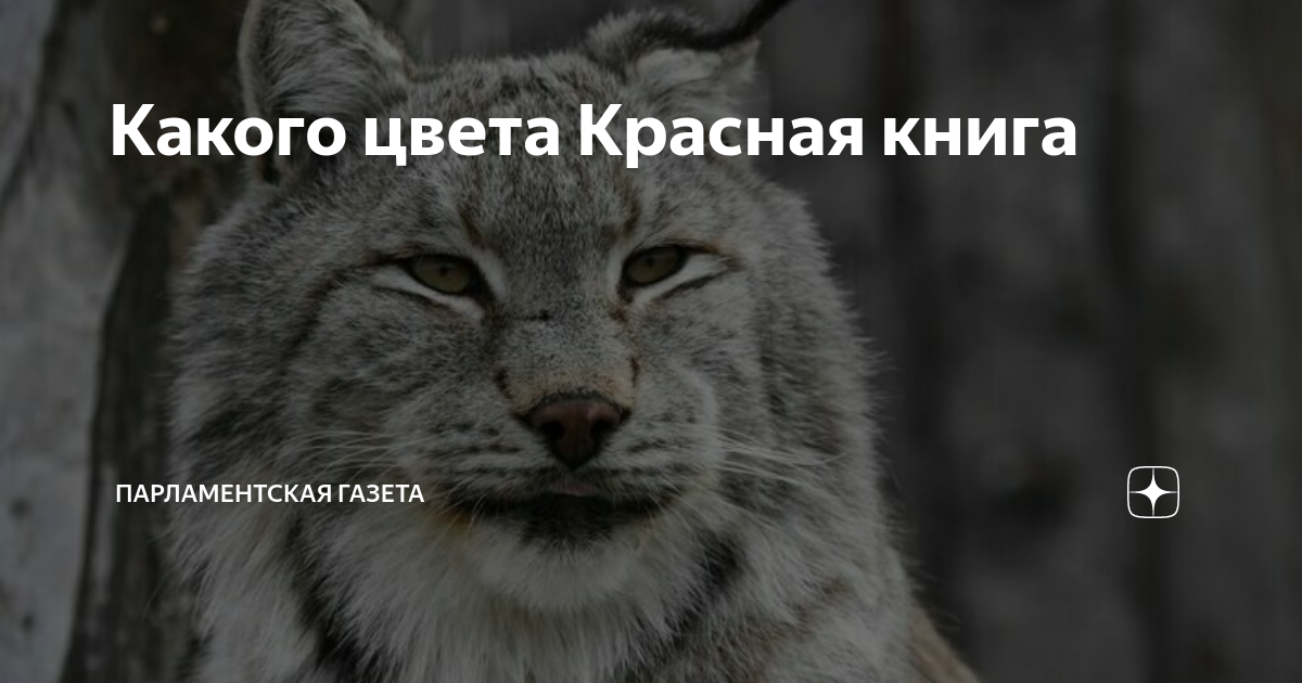 в каком веке была издана первая красная книга