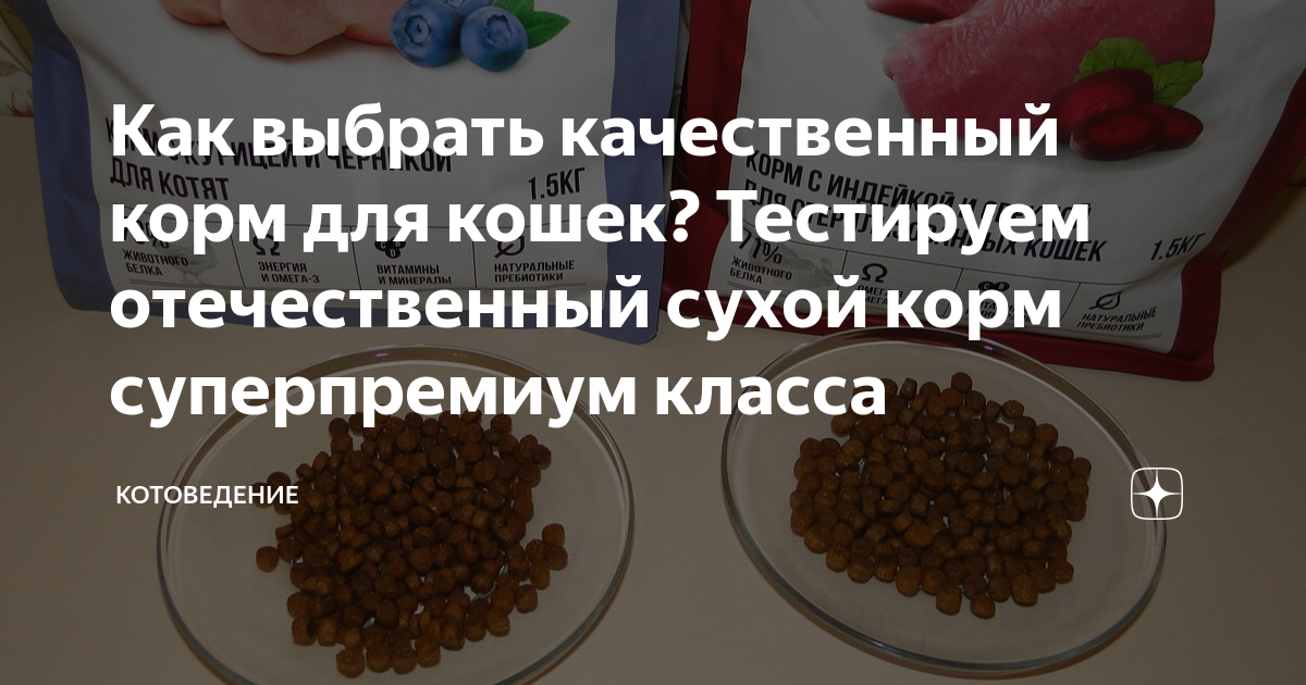Как выбрать качественный корм для кошек? Тестируем отечественный сухой ...