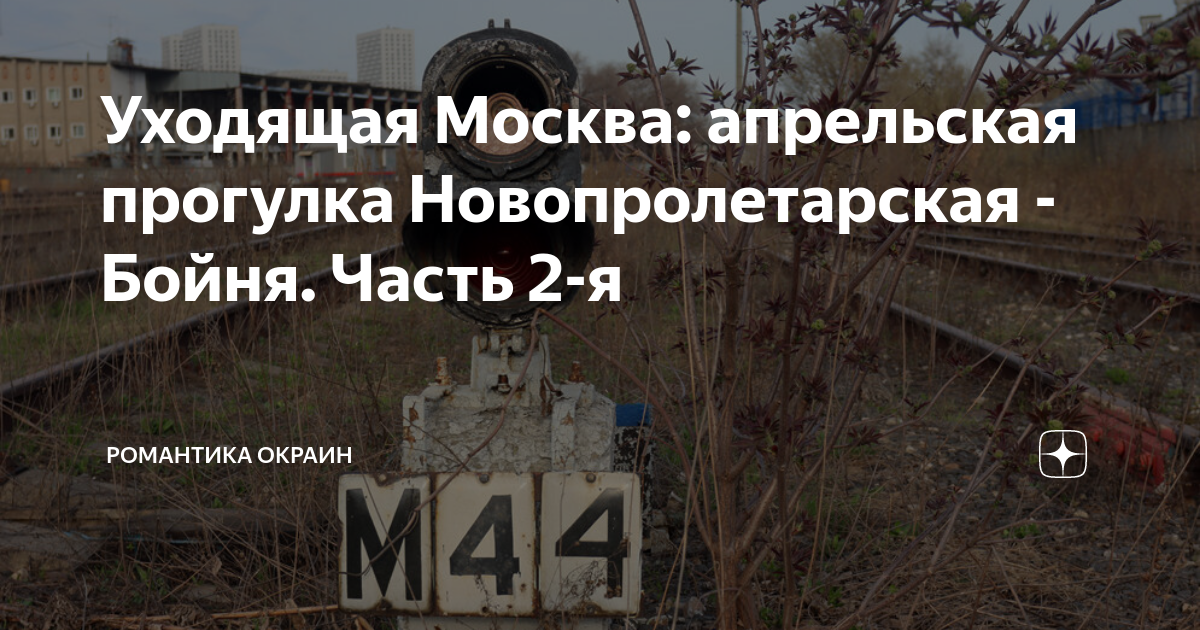 романтика окраин дзен