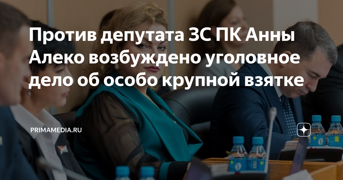 Против депутата ЗС ПК Анны Алеко возбуждено уголовное дело об особо ...