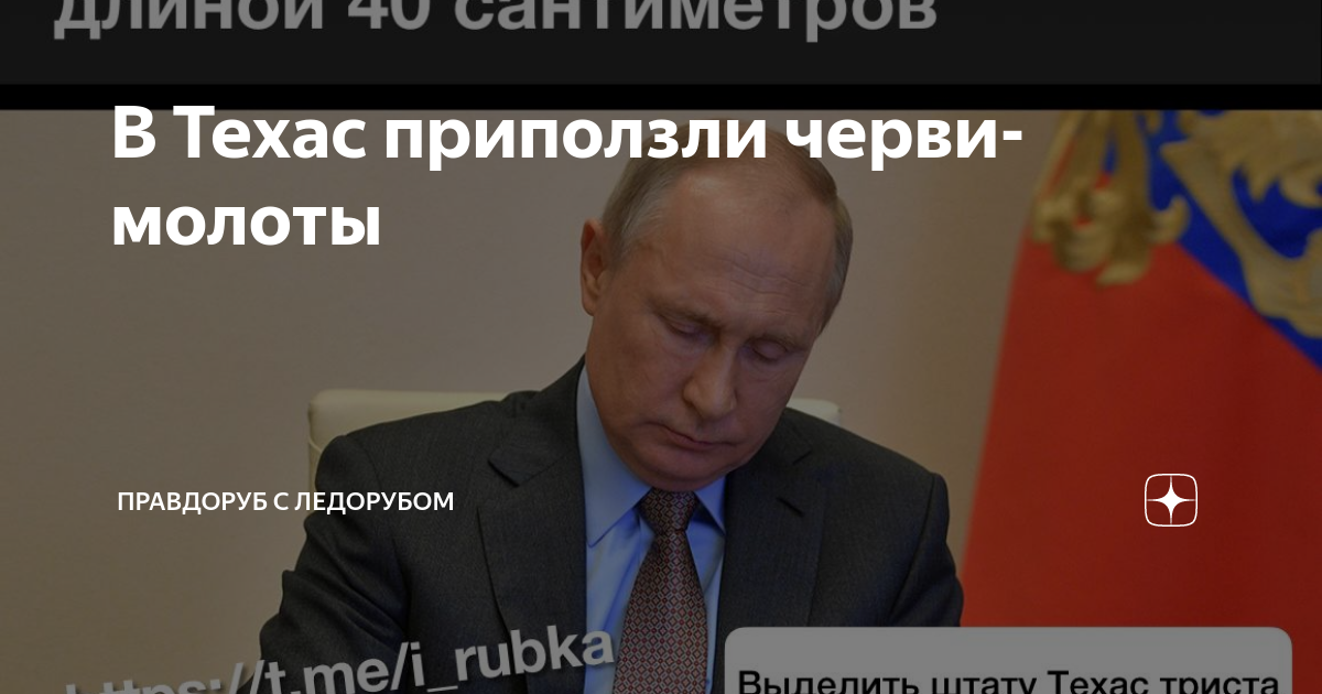 В Техас приползли черви-молоты | Правдоруб с ледорубом | Дзен