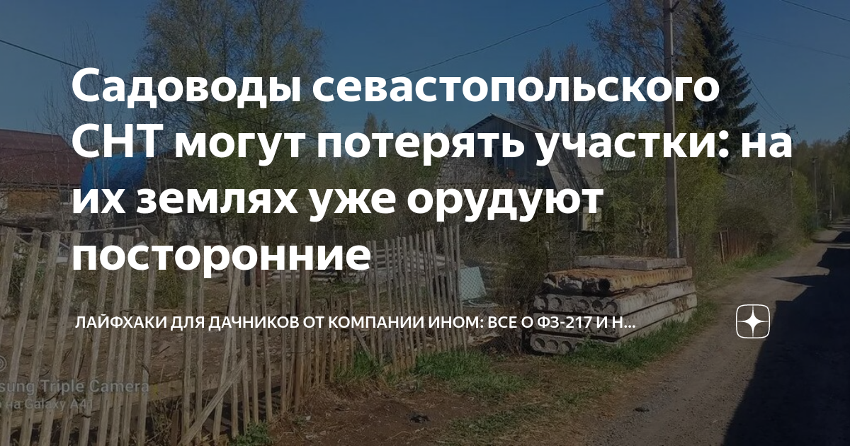 Садоводы севастопольского СНТ могут потерять участки: на их землях уже ...