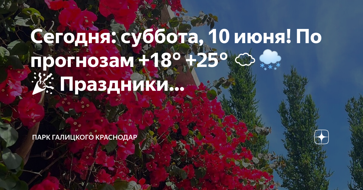 Что за рыбы в парке галицкого в краснодаре