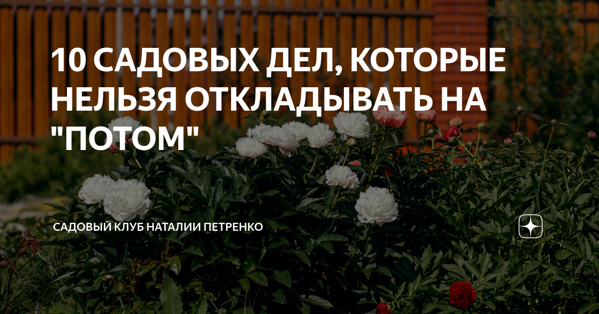 Садовые клубы