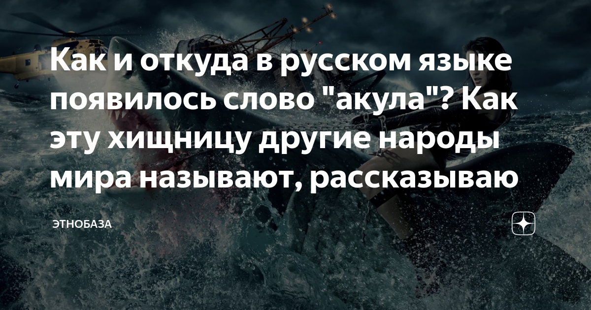 Как и откуда в русском языке появилось слово "акула"? Как эту хищницу ...