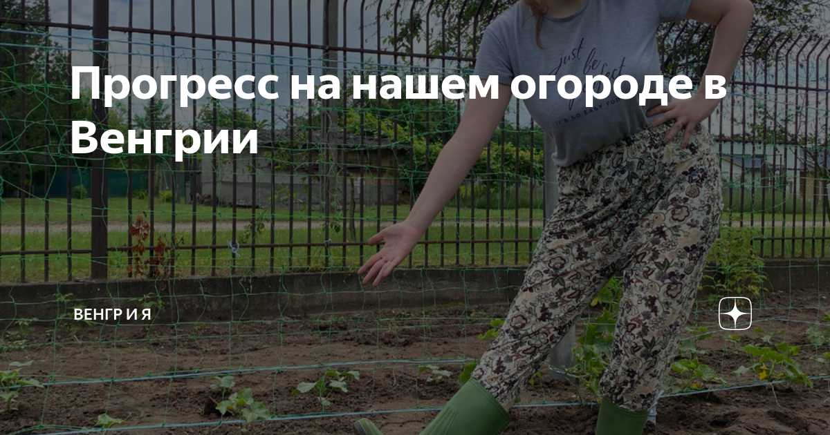 Прогресс на нашем огороде в Венгрии | Венгр и Я | Дзен