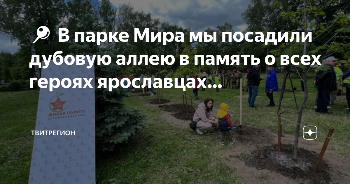 Аллея памяти в парке патриот фамилии