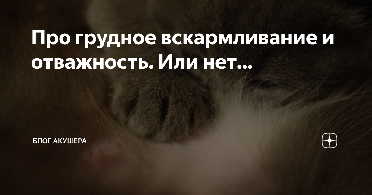 Про грудное вскармливание и отважность. Или нет... | Блог акушера | Дзен