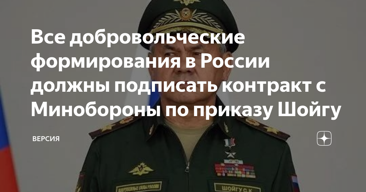 Подписал ли шойгу приказ о мобилизации правда. Приказ Шойгу. Приказ Шойгу о добровольцах. Заместитель министра обороны. Военный контракт.