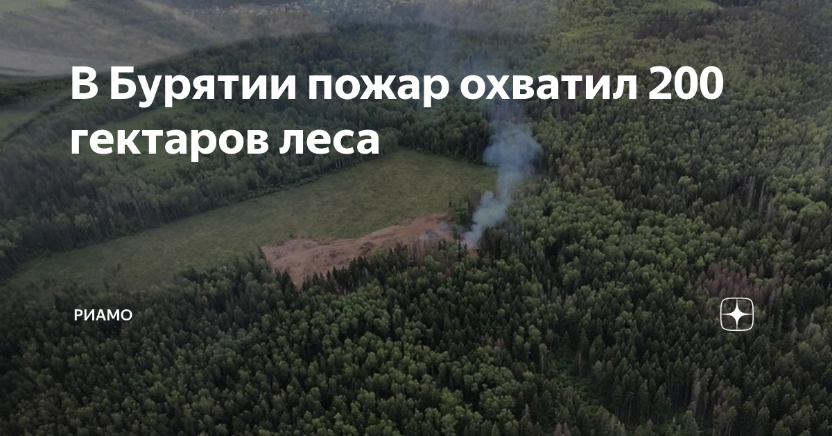 200 Гектар. Пожары в лесах. 200 Гектар в километрах. 200 Гектаров это сколько.