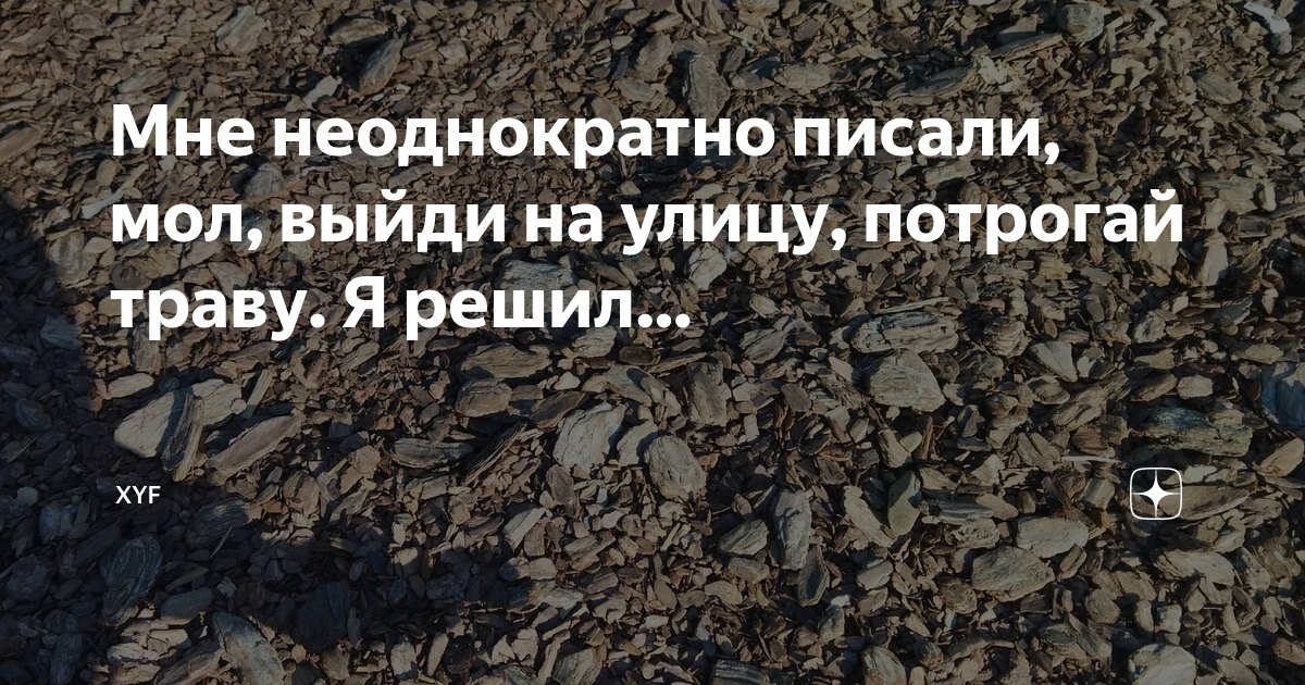 Что значит потрогать траву. Потрогай траву Мем. Выйди на улицу потрогай траву. Выйди на улицу потрогай траву Мем. Трогать траву Мем.