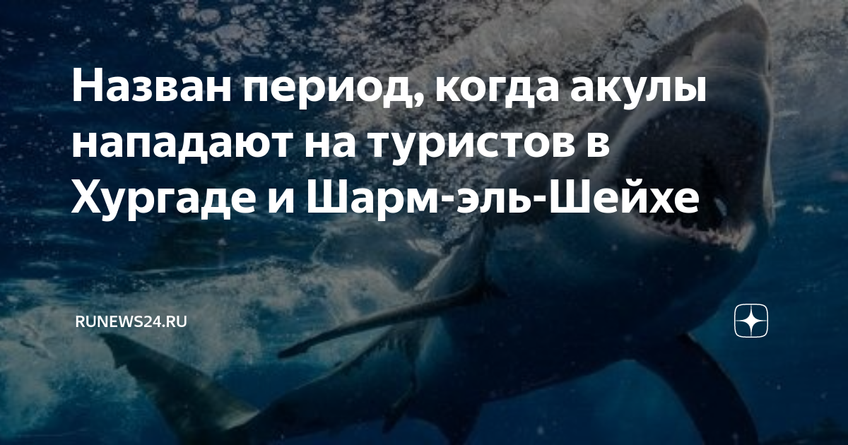 Шарм эль шейх нападают акулы. Нападение акул в Шарм Эль Шейхе. Акула в Египте Шарм-Эль-Шейх нападение. Случаи нападения акул в Шарм Эль Шейхе.