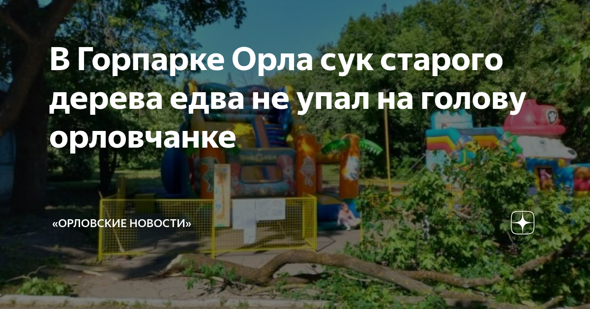 Городской парк орел