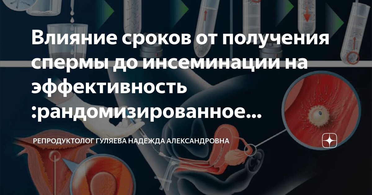 Диагностика мужского бесплодия. Анализы при мужском бесплодие.