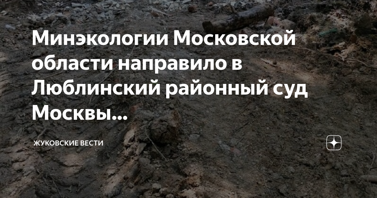 Председатель люблинского районного суда г москвы орешкина