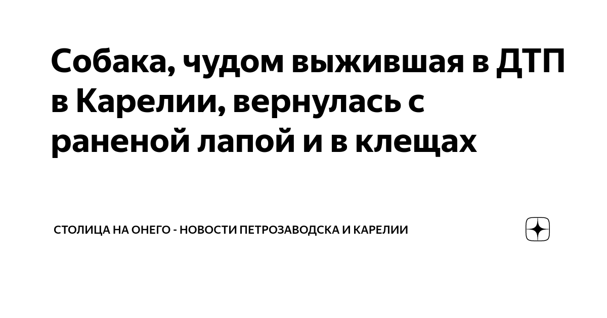 Кто сообщает родственникам о смерти в дтп