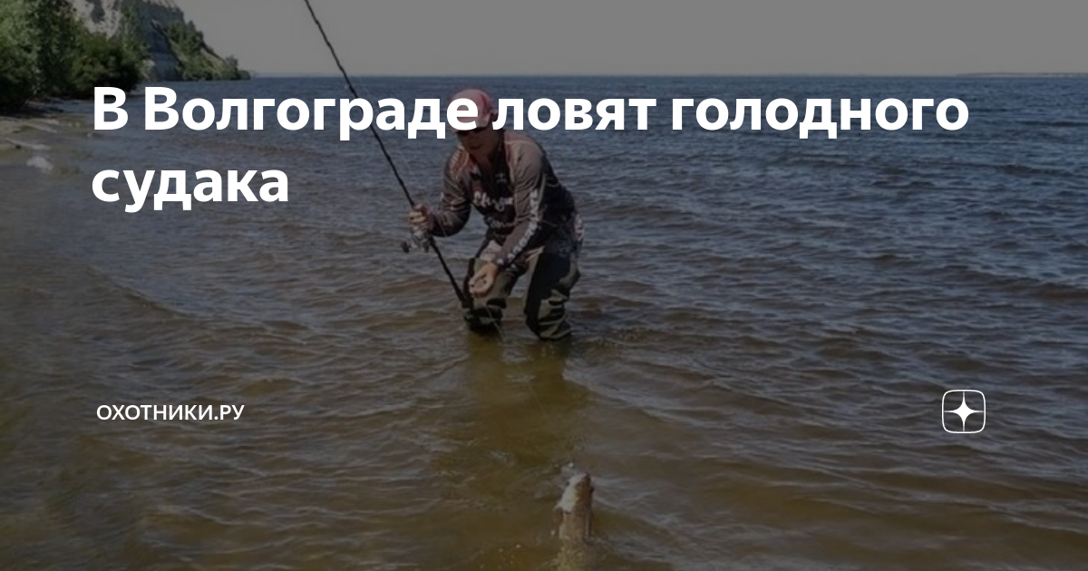 Рыбалка с берега