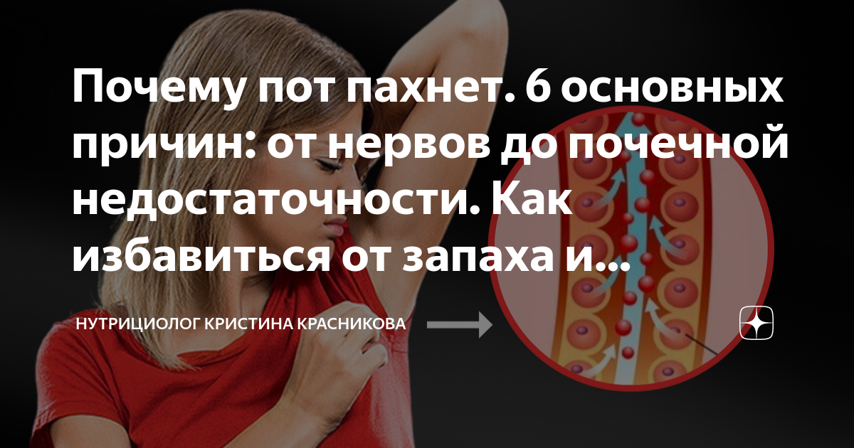 кот принюхивается. почему пот воняет кошачьей мочой у ребенка. запах пота кошачьей. шейный онкологический заболевание. кот лижет хозяйке.