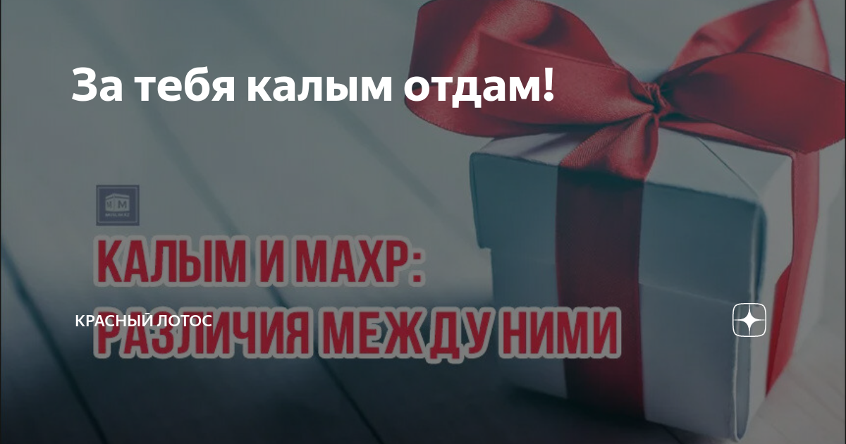 За тебя калым отдам минус