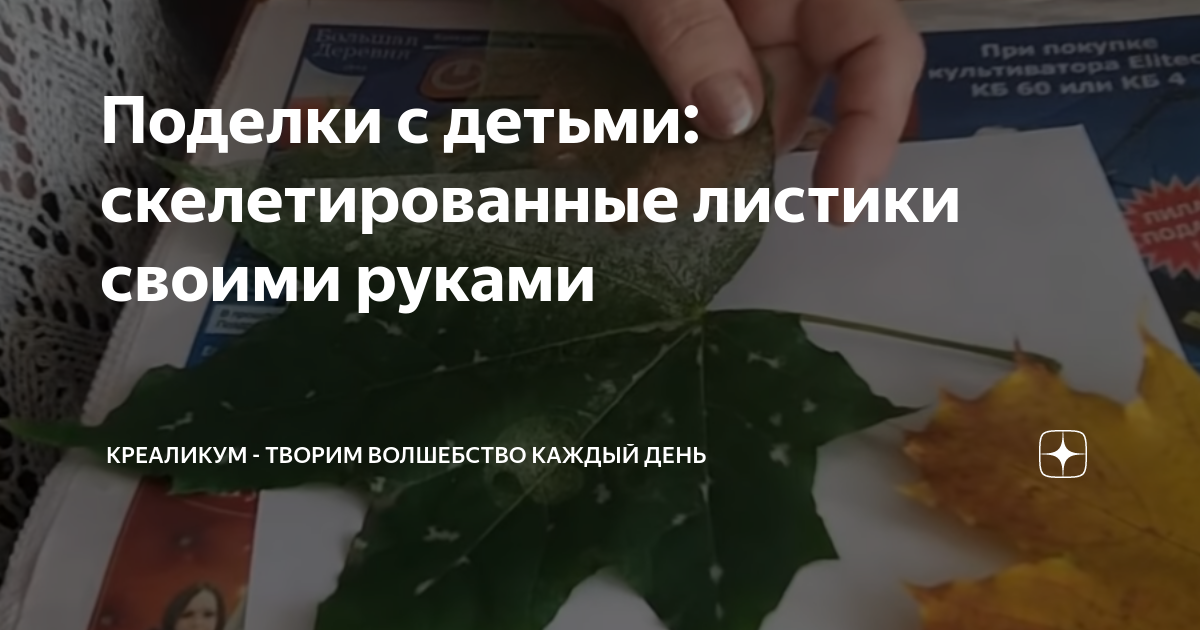 Скелетирование листьев в домашних условиях для красивых изделий