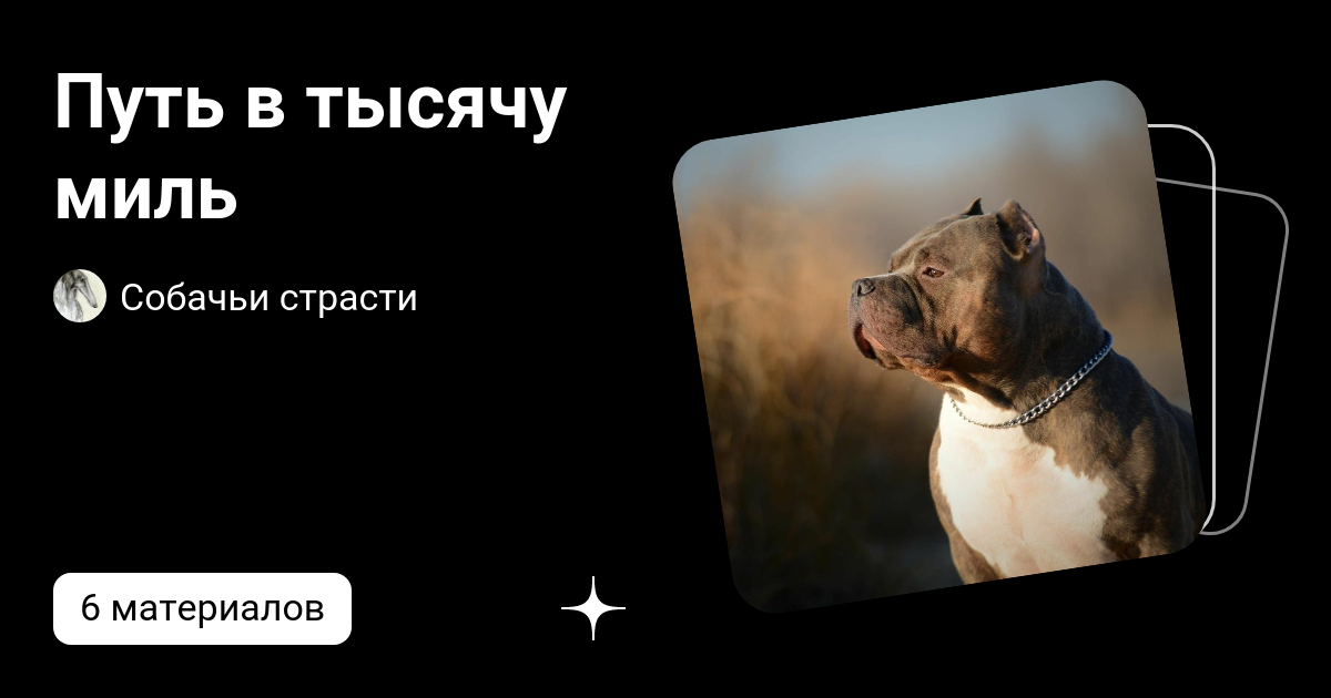 путь длиною в тысячу миль