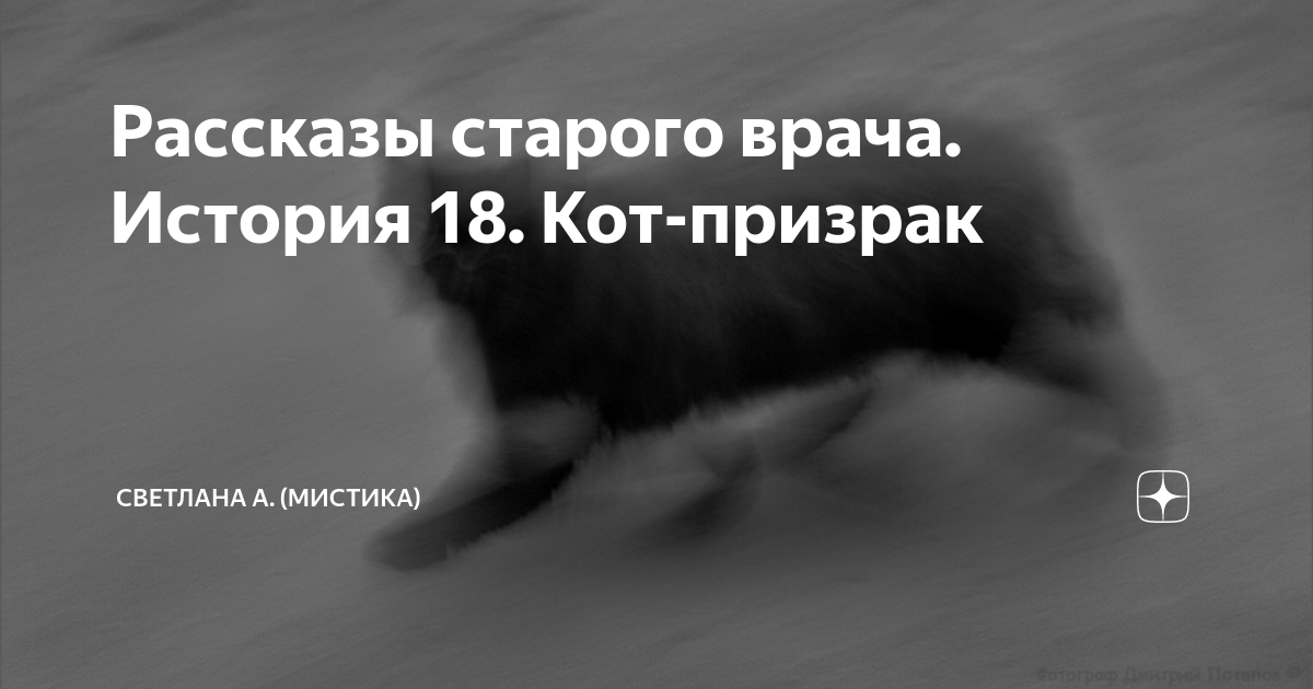 Рассказы старого врача. История 18. Кот-призрак | Светлана А. (Мистика ...