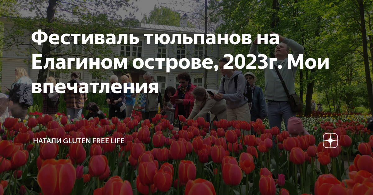 Фестиваль тюльпанов 2023. Фестиваль тюльпанов. Фестиваль тюльпанов на Елагином. Фестиваль тюльпанов на Елагином 2023. Тюльпаны на Елагином острове.