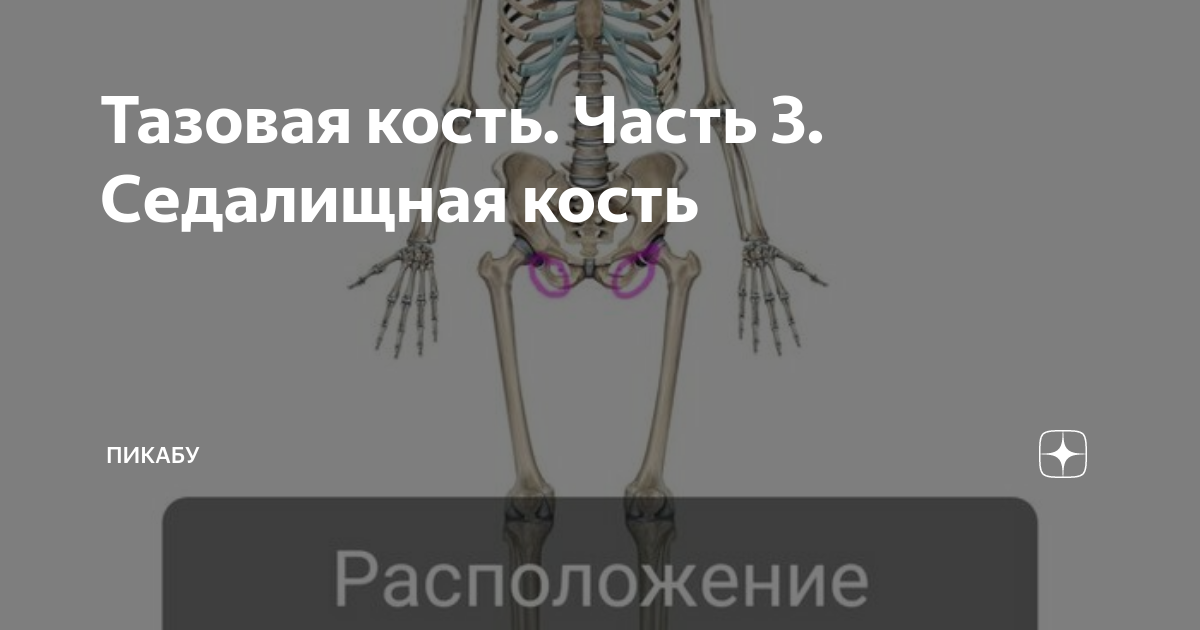 Лечение перелома тазобедренного сустава блог компании | Новый шаг