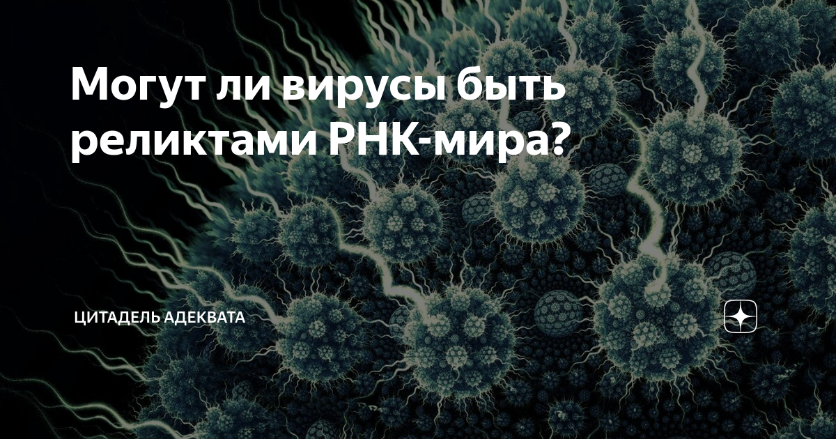 вирус бешенства рнк или днк