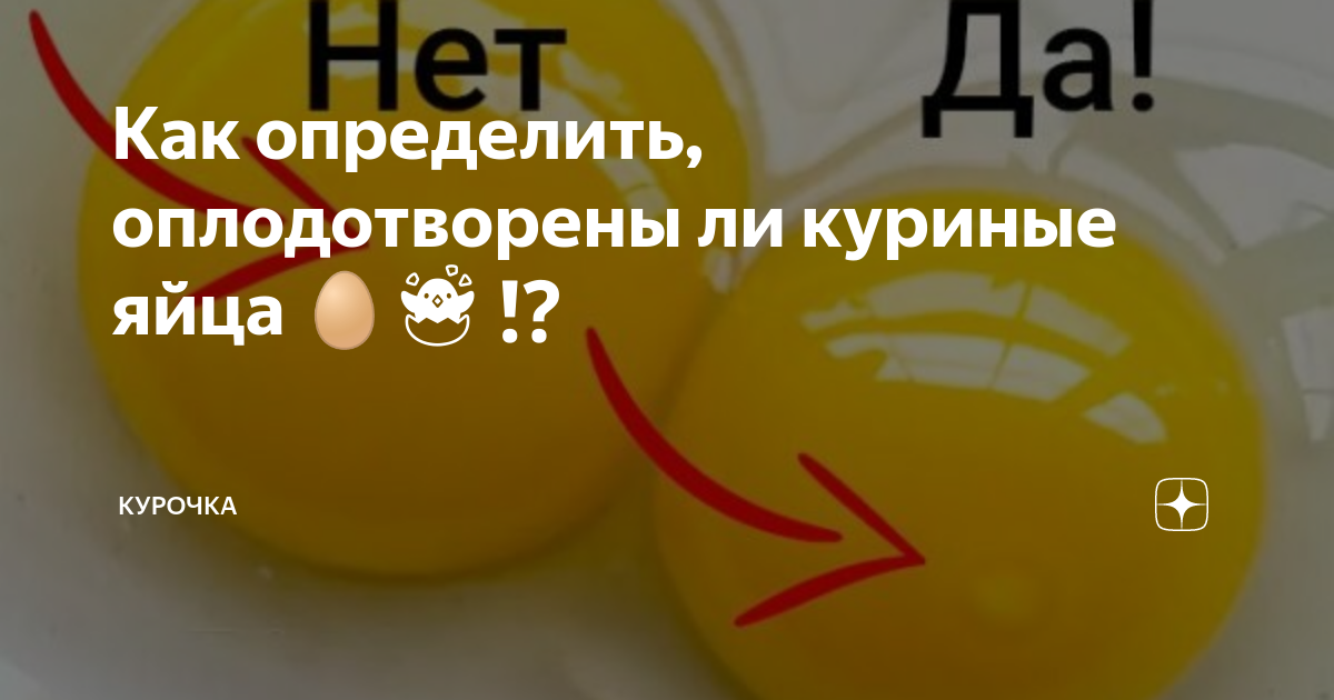 Как определить наличие следов спермы?