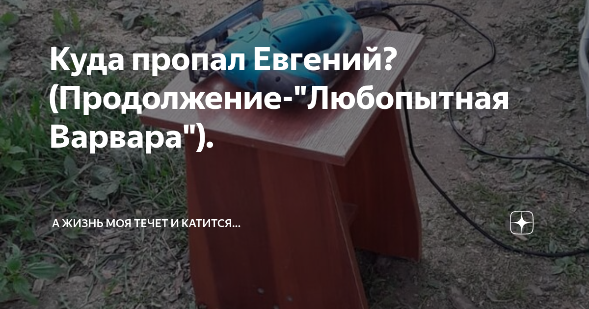 Куда пропал Евгений?(Продолжение-"Любопытная Варвара"). | А жизнь моя ...