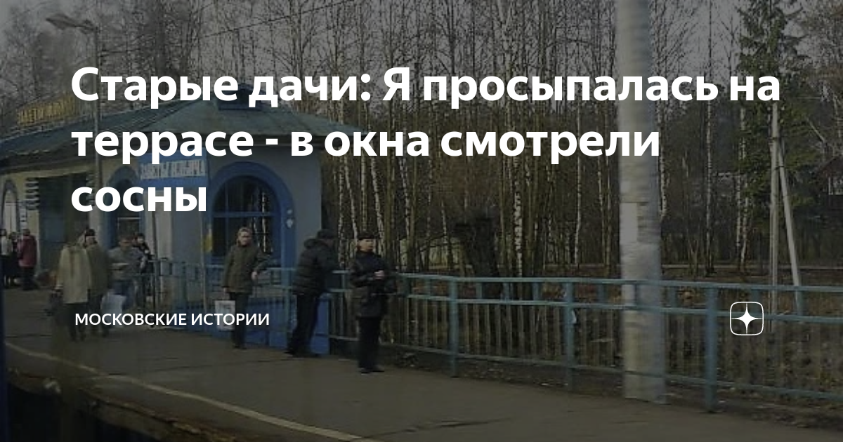 Старые дачи: Я просыпалась на террасе - в окна смотрели сосны ...