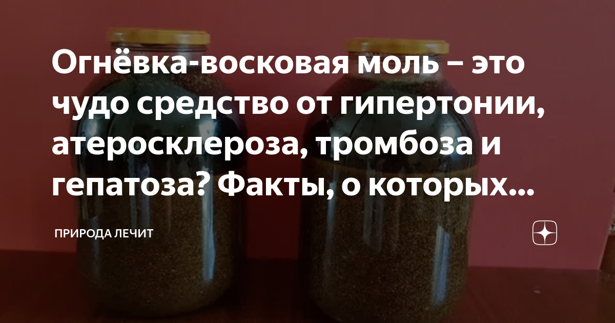 Ее величества восковая моль