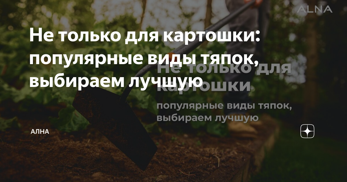 Не только для картошки: популярные виды тяпок, выбираем лучшую | АЛНА ...