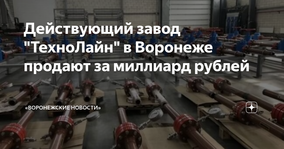 Действующий завод ТехноЛайн в Воронеже продают за миллиард рублей